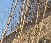 Продать Дачи, коттеджи, загородные дома Ульяновка пгт, проезд 10-й Речной   