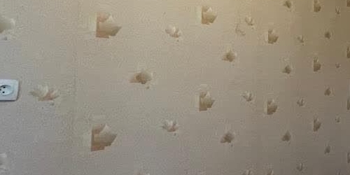 2-комн квартира пос. Шушары, Школьная улица, 28