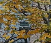 Продать Квартиры вторичка улица Красина, 24   