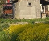 Продать Земельные участки, земля д. Красницы, улица Заречная, 37   