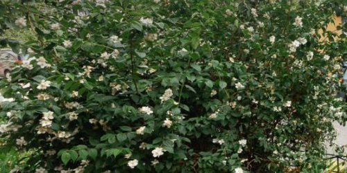 3-комн квартира улица Руднева, 9к3