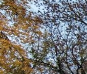 Продать Квартиры вторичка 1-я Хуторская улица, 2К2   