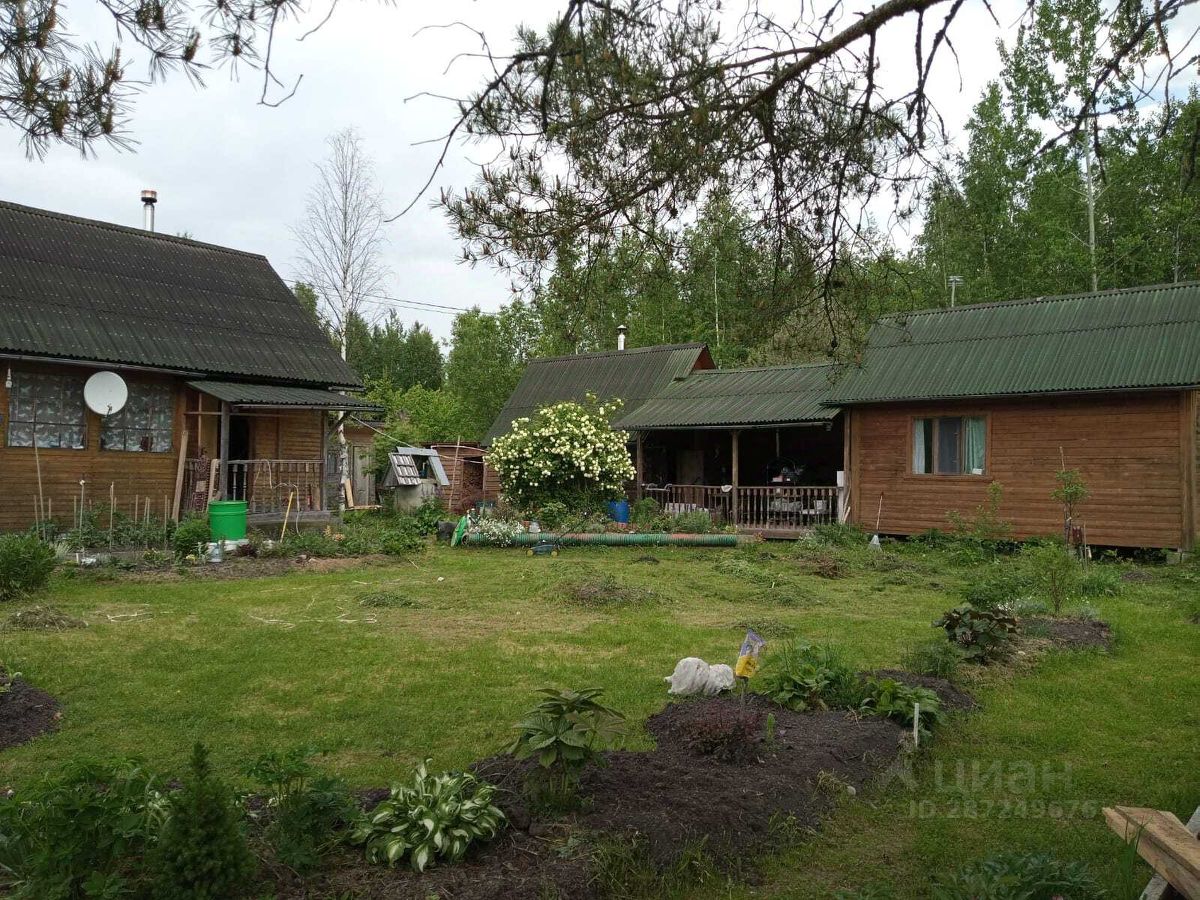 Продажа дома Восточное Радофинниково садоводческий массив, Буревестник СНТ, 11-я линия,  д. 4