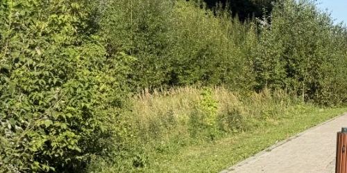 3-комн квартира Рублевское шоссе, 70к5