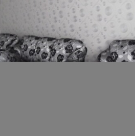 Аренда 4-комн квартиры на вторичном рынке Новая улица,  д. 51 к3