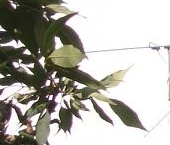 Продать Квартиры вторичка Обухово пгт, улица Ленина, 37   