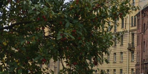 6-комн квартира Тульская улица, 9