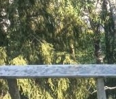 Продать Квартиры вторичка Сосновый Бор, улица Малая Земля, 3   