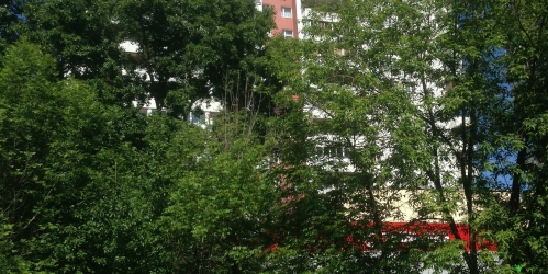1-комн квартира Ляпидевского ул,  д. 8,  к. 1