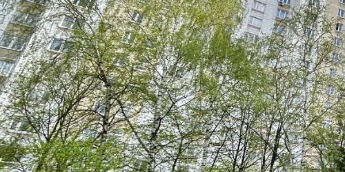 2-комн квартира улица Дудинка, 2К2