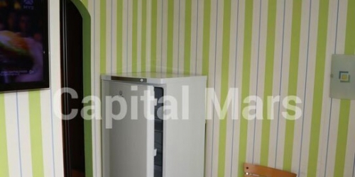 1-комн квартира ул Городецкая,  д. 8,  к. 3