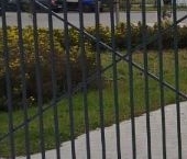 Сдать в аренду Квартиры вторичка Новоселье городской поселок, улица Центральная, 20   