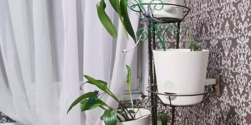 3-комн квартира Камышовая улица, 56К1