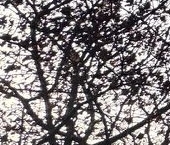 Продать Квартиры вторичка Электросталь, бульвар 60-летия Победы, 2   