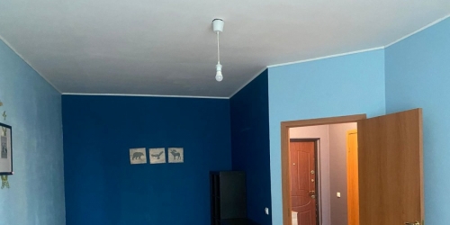 1-комн квартира Новое Девяткино дер., Флотская ул. ,  д. 7