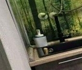 Сдать в аренду Квартиры вторичка Люберцы, улица С.П. Попова, 12   