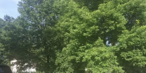 Помещение свободного назначения ул Московская,  д. 24