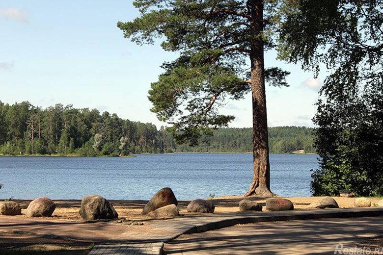 Продажа земли Зеленогорск, Курортная улица