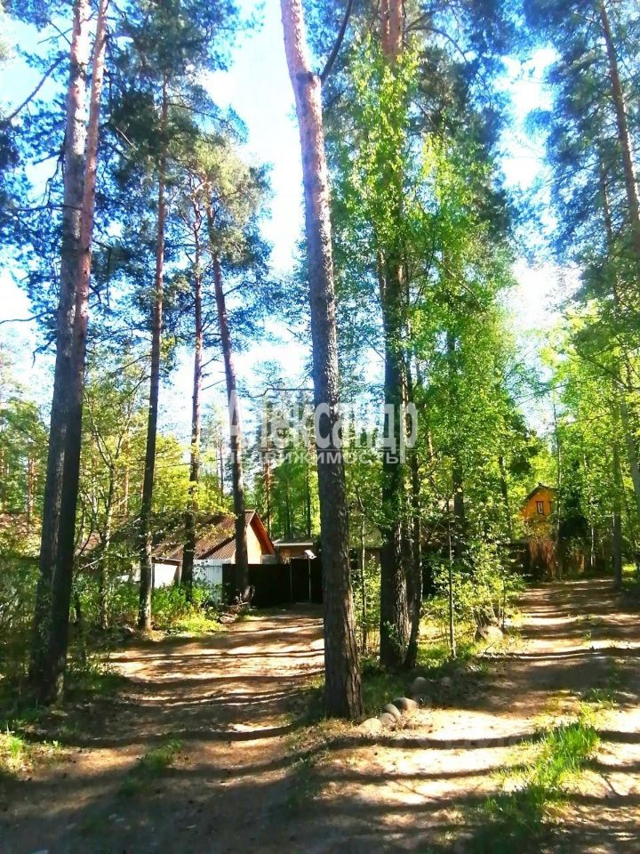 Продажа дома пос. Сосново, переулок Солдатский, 6