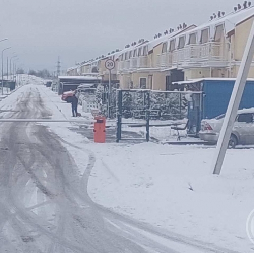 Коттедж/дом Аннолово дер., Березовая аллея