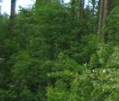 Продать Земельные участки, земля Вырица городской поселок, улица Соболевского, 22   