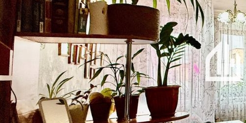 6-комн квартира Чкаловский проспект, 52