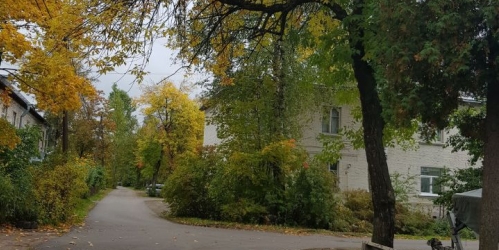 1-комн квартира пос. Лисий Нос, Корженевская улица, 6