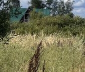 Продать Дачи, коттеджи, загородные дома Красный Бор пгт, улица Колпинская, 28   