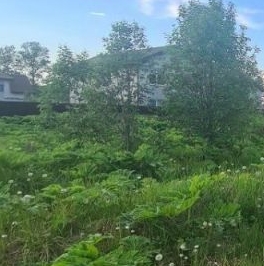 Продажа земли пос. Щеглово, переулок Майский, 3