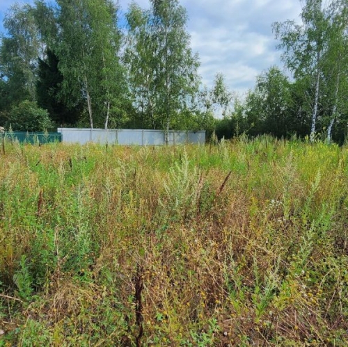 Земельный участок Королёв, улица Луначарского