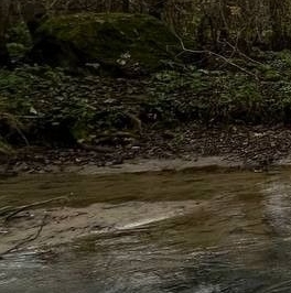 Продажа земли д. Олики, улица Владимирская Продажа земли д. Олики, улица Владимирская