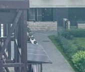 Сдать в аренду Квартиры вторичка 2-я Рыбинская улица, 13   