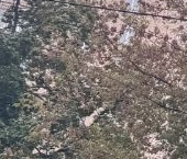 Продать Квартиры вторичка Донская улица, 31   