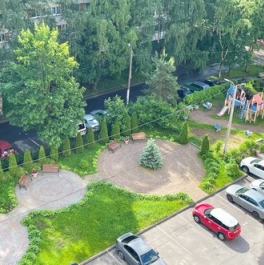 Продажа 1-комн квартиры на вторичном рынке Светлановский пр-кт,  д. 115,  к. 1