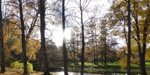 Земельный участок Краснофлотское шоссе,  д. 5,  к. А