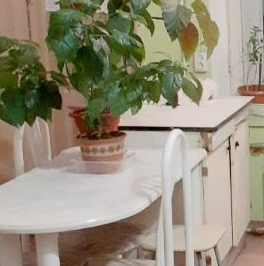 Аренда комнаты проспект Большой Петроградской стороны, 82 Аренда комнаты проспект Большой Петроградской стороны, 82