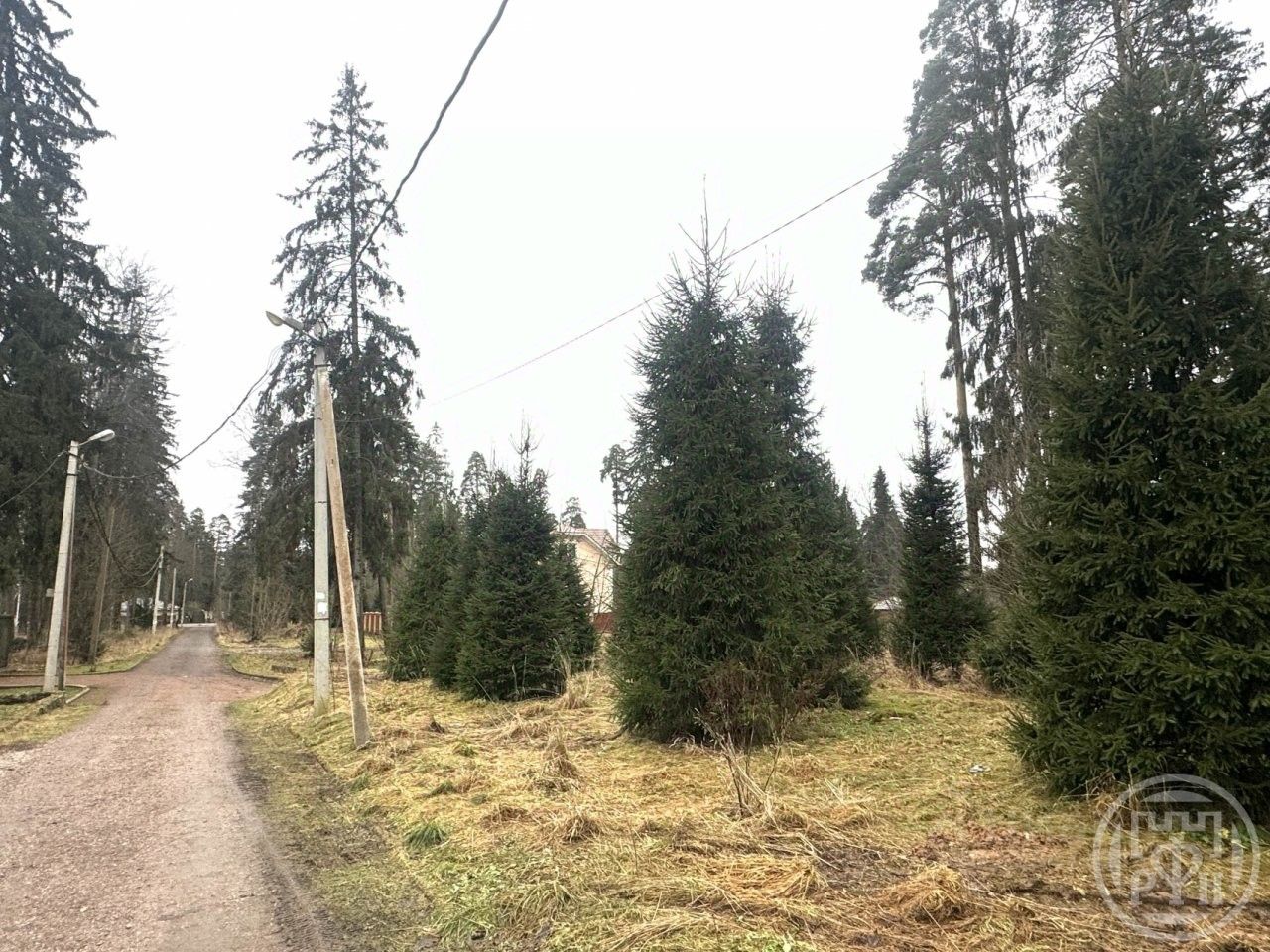 Продажа земли Сиверский городской поселок, переулок Оредежский