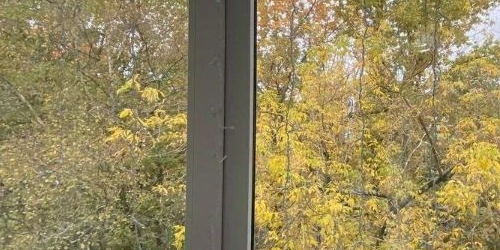 2-комн квартира Пушкин, Железнодорожная улица, 2а