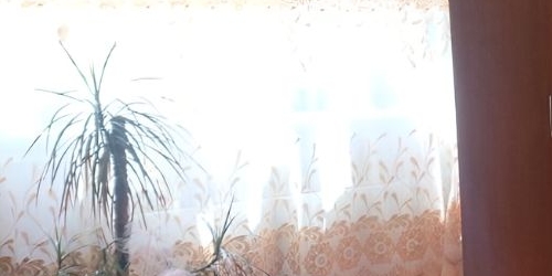 1-комн квартира Люберцы, Комсомольский проспект, 18/1