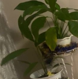 Продажа 4-комн квартиры на вторичном рынке Одинцово, улица Маковского, 10