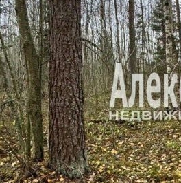 Продажа земли Садовые участки