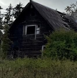 Продажа земли д. Грязно, улица Новый Поселок, 7