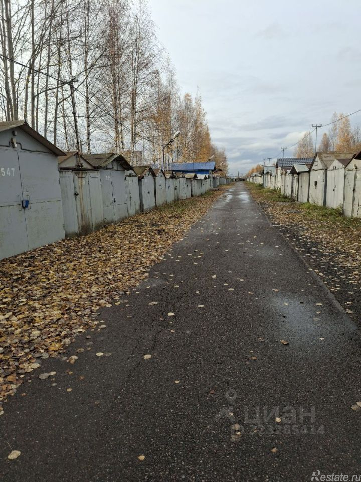 Аренда гаража Суздальский проспект,  д. 77 к1
