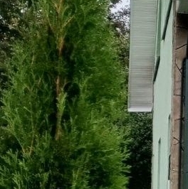 Продажа дома Зеленогорск, улица Героев, 9