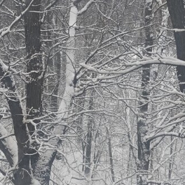 Продажа 1-комн квартиры на вторичном рынке Вырубово, улица Турова,  д. 12Б