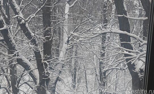 Продажа 1-комн квартиры на вторичном рынке Вырубово, улица Турова,  д. 12Б