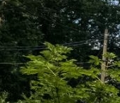 Продать Дачи, коттеджи, загородные дома Пушкин, Саперная улица, 5Б   