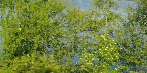 1-комн квартира Приозерск, улица Маяковского, 20