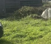 Продать Земельные участки, земля Пушкин, СНТ Дони тер., улица 13-я Линия   