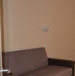 Аренда 1-комн квартиры на вторичном рынке Лиственная улица, 18к1